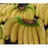 香蕉 1元起/斤